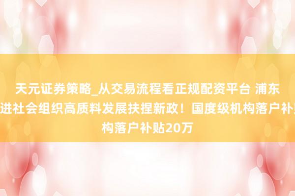 天元证券策略_从交易流程看正规配资平台 浦东发布促进社会组织高质料发展扶捏新政！国度级机构落户补贴20万