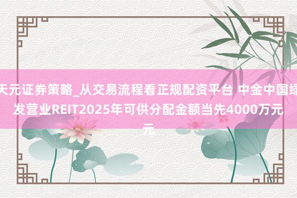 天元证券策略_从交易流程看正规配资平台 中金中国绿发营业REIT2025年可供分配金额当先4000万元