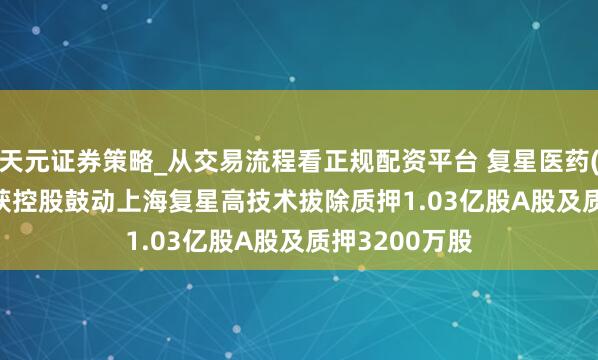 天元证券策略_从交易流程看正规配资平台 复星医药(02196.HK)获控股鼓动上海复星高技术拔除质押1.03亿股A股及质押3200万股