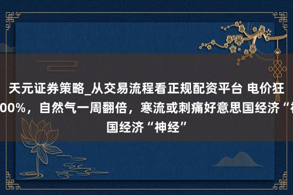 天元证券策略_从交易流程看正规配资平台 电价狂飙1400%，自然气一周翻倍，寒流或刺痛好意思国经济“神经”