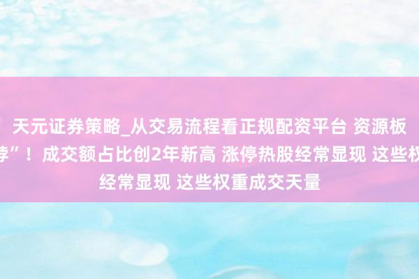 天元证券策略_从交易流程看正规配资平台 资源板块成“香饽饽”！成交额占比创2年新高 涨停热股经常显现 这些权重成交天量